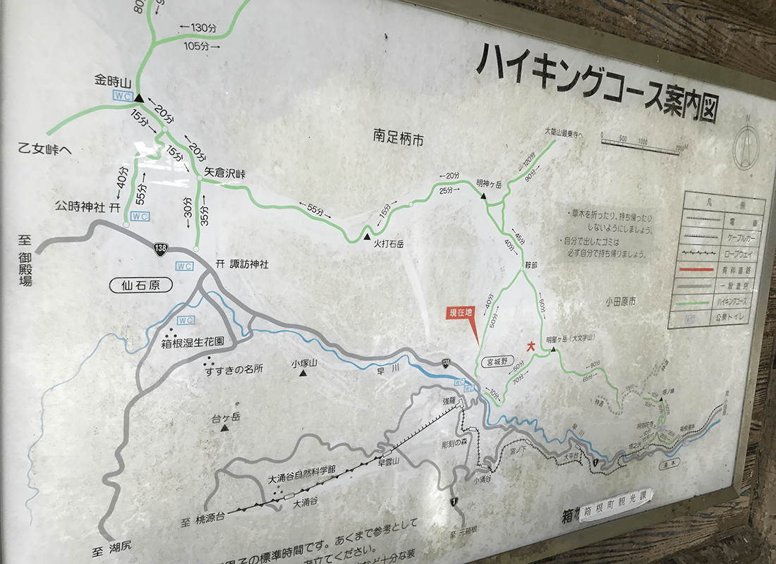 明神ヶ岳〜金時山のんびりハイキングコース